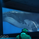Image for article titled Our Google I/O Liveblog Is Right Here